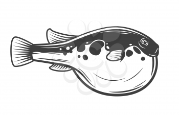 Japanese Fugu fish, isolated pufferfish. Vector poisonous fish with puffed stomach, exotic toxic marine animal. Seaweed, Japanese cuisine delicacy, bogeo or bok porcupine fish