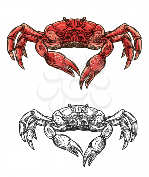 Crab seafood sketch isolated icon. Vector marine crustacean symbol of sea fishing or ocean fisher catch, fishery sea food underwater animal, zoology crab and salty snack