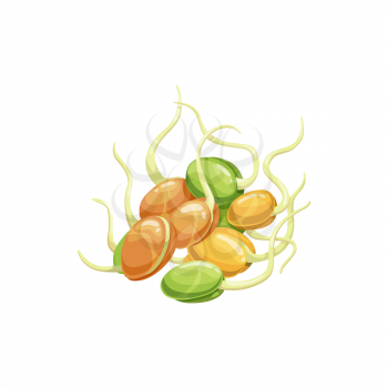 Sprouted bean, soy legume food, soybean seeds realistic flat cartoon icon. Vector sprouted beans of soy or pea legumes, healthy vegetarian food. Grown seeds, raw beans seeding. Dieting organic product