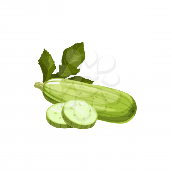 Fresh squash vegetable marrow vector natural plant, healthy food isolated cartoon element for design, organic ripe veggies, whole with leaf and slices. Eco farm production on white background.