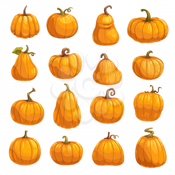 Pumpkin, squash and gourd vegetable cartoon icons. Orange and yellow autumn pumpkins with green leaf isolated vector symbols for agriculture harvest, Thanksgiving or Halloween holidays design