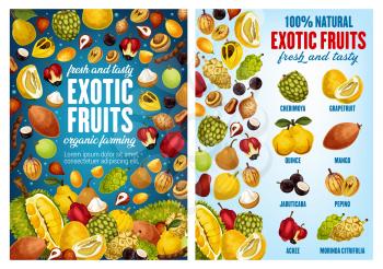 Tropical fruits, farm market or store. Vector natural cherimoya, grapefruit citrus or exotic quince pear and mango, jabuticaba or pepino, ackee apple with morinda citrifolia fruit