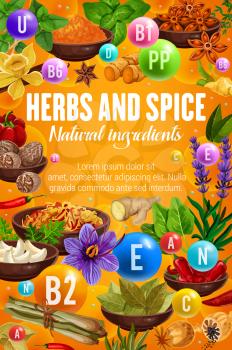 Cooking spices, seasonings and herbs, culinary natural ingredients. Vector organic farm garlic, pepper and basil, garden celery and savory spice, spinach and arugula herb, ginger and vanilla flavoring