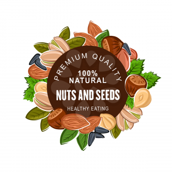 Nuts and seeds banner, organic natural food. Peanuts and pistachios, kernels and walnuts, sunflower seeds and hazelnuts. Cashew and almonds, vegan or vegetarian harvest, crop of premium quality nuts
