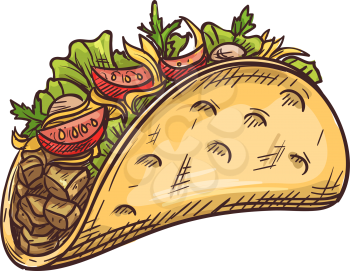 Tacos mexican fastfood snack isolated sketch. Vector fried tortilla with vegetable beans lettuce tomatoes and meat