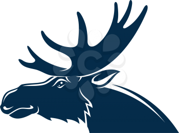 Moose or wild elk isolated deer head with antlers. Vector stag hunting sport mascot