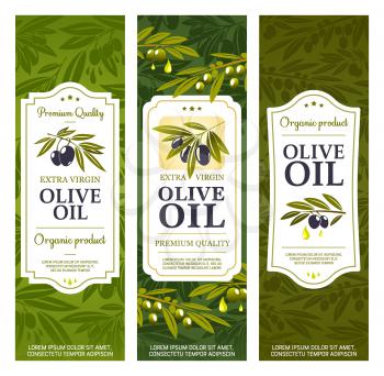 Olive oil bottle package labels, organic extra virgin olives. Vector Spanish, Greek and Italian premium quality natural olive oil banners with stars, drops and green leaves