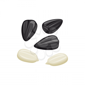 Sunflower peeled white seeds and unpeeled black shell isolated food snack. Vector natural oil ingredient, nutrition dieting sunflower seeds, superfood healthy vegetarian eating, roasted or raw