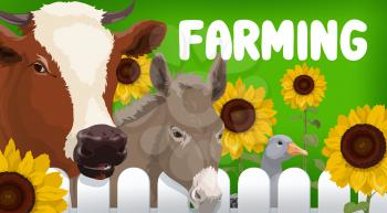 Farm animals, agriculture vector design. Farm field, cow, goose bird and donkey with sunflower plants. Milk, poultry and cattle banner, farming, livestock and husbandry industry
