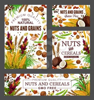 Nuts, cereal grains and beans vector health food. Almond, peanut and pistachio, hazelnut, walnut and wheat, cashew, corn and coconut, soybean, buckwheat and oatmeal grains