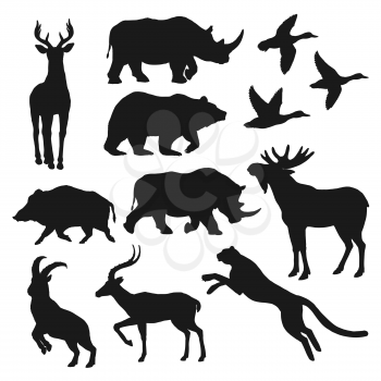 Duck bird, bear and deer wild animal black silhouettes. Hunting sport and safari vector theme. Wild forest boar, elk or moose, african jaguar, antelope and rhino, panther, mountain goat and reindeer
