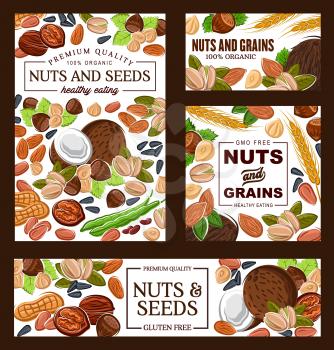 Nut, bean, seed and cereal grain vector banners of almond, peanut and pistachio, hazelnut, walnut and coconut, sunflower seeds, wheat and bean pods. Healthy food, GMO and gluten free products design