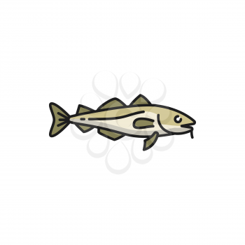 Anchovy small forage fish isolated sardine flat cartoon i icon. Vector portugal fishing sport mascot, conserve herring in oil. European anchovy, shoaling fish, portuguese national cuisine food