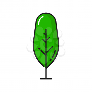 Cartoon garden tree isolated green linear park or forest plant outline icon. Vector green landscape architecture element, scenery decor. Spring summer season botany wood, save ecology, care of nature