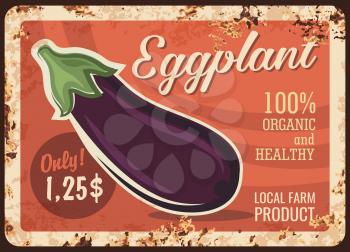 Eggplant vegetable metal plate rusty, farm food products, vector retro poster. Vegetables market price sign for organic natural eggplant or aubergine, veggies shop menu metal plate with rust