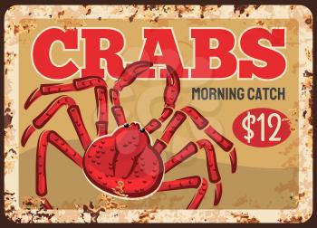 Fresh crabs rusty metal plate. Seafood product, restaurant food with crab meat, fishing industry fresh catch vector. Seafood market or shop retro banner with rust texture