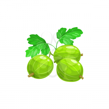 Gooseberry berries fruits, food from farm garden and wild forest, vector flat isolated icon. Gooseberries ripe harvest for jam desserts