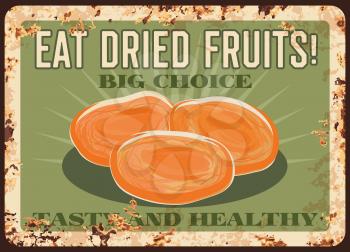 Dried apricots rusty metal plate, fruits farm market food poster, vector vintage. Natural organic dried apricot fruits, agriculture vegetable fruits food market poster, metal plate with rust