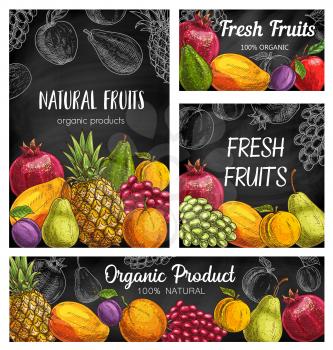 Fresh fruits vector sketch posters, natural pineapple, pomegranate, apricot or grapes with plum. Organic pear, mango, orange and apple with avocado. Hand drawn eco farm products exotic assortment