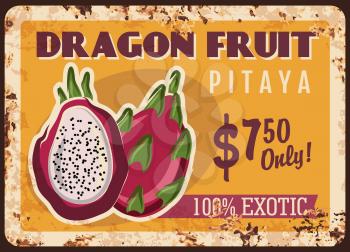 Dragon fruit pitaya rusty metal plate with price, tropical fruits food and farm market vector vintage poster. Exotic tropical fruit pitaya or pitahaya, agriculture food market price sign with rust