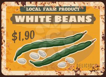 Beans vegetables rusty metal plate of farm market food price, vector vintage grunge poster. Natural organic white beans or legume pods, agriculture vegetables food on metal plate with rust