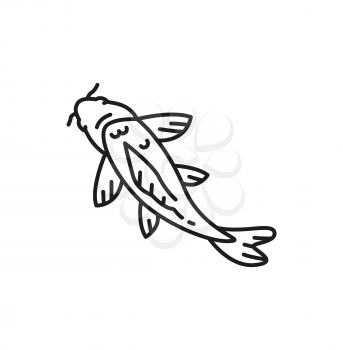 Chinese carp traditional oriental fish isolated thin line icon. Vector horoscope astrology symbol, asian fish line art design. Oriental koi carp, Fish water animal, fishery fishing sport mascot