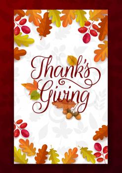 Thanks Giving vector greeting card with autumn fallen leaves of maple, oak, birch or rowan with acorn. Happy Thanksgiving day frame, fall season holiday congratulation poster with tree foliage plants