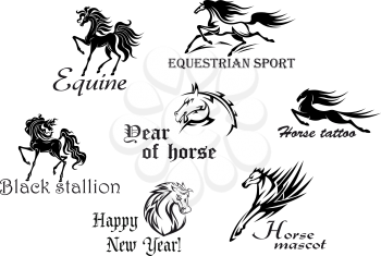 Black stallions and mustangs for equestrian sports or another design