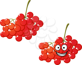 Colorful bunches of healthy fresh cartoon red currants berries with a happy smiling face