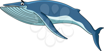 Big blue baleen whale swimming through the sea, cartoon illustration isolated on white