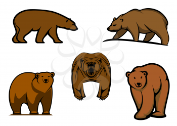 Brown wild bear characters isolated on white for mascot or tattoo design