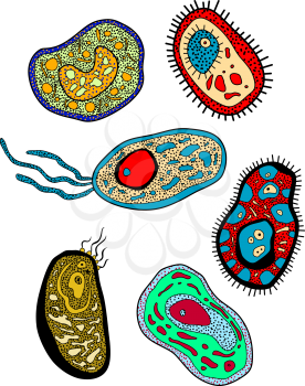 Cartoon various amebas, amoebas, microbes, germs or microbial lifeforms for science, biology, medicine or education design
