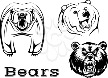 Strong angry grizzly bears characters isolated on white for tattoo, wildlifel and mascot design