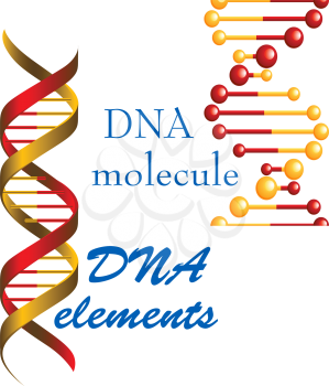 DNA molecule and elements symbols for medicine, genetics and biology concept or design