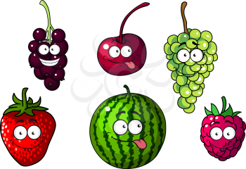 Cute happy colorful cartoon fruits and berries depicting a strawberry, cherry, green and purple grapes, watermelon and raspberry , vector illustration on white