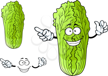Cartoon healthy green leafy chinese cabbage character with cute happy face and little hands on a white ackground