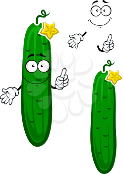 Crunchy green cucumber vegetable cartoon character with scattered small prickles, curly stem and yellow flower on the top, for agriculture or healthy food design