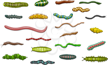 Cartoonl crawling and wriggling caterpillars and worms with stripes, spot, and urticating hairs for biology or ecology design