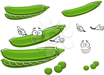 Funny cartoon green pods of sugar pea cartoon character with juicy seeds, for agriculture harvest or farming theme. Isolated on white