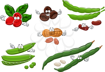 Healthy vegetarian fresh and roasted coffee beans, peanuts, green sweet pea pods and beans with green, white and brown grains cartoon characters. For agriculture design