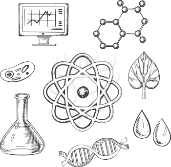 Biology and chemistry sketch icons with fresh leaf surrounded by round icons depicting insects, microscope, computer, water, chemical analysis, atoms for physics and DNA for genetics, vector illustrat
