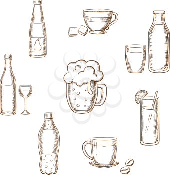 Drinks, alcohol and beverages sketch icons of a wine bottle and glass, beer, coffee, tea, milk bottle and glass, orange juice and soft drink soda. Sketch vector icons