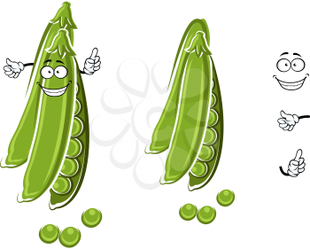 Happy fresh green pea cartoon character with opened pod, for healthy vegetarian food or agriculture design
