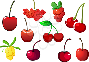 Colored fresh berry icons with cherries, rowan and red and white currants, isolated on white