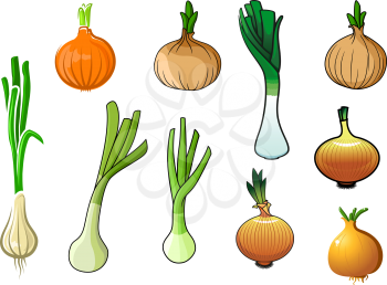Golden onion bulbs with sprouted leaves, spring green onions and leek with juicy stems vegetables for agriculture, harvest or vegetarian food themes design