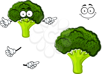 Healthful cartoon fresh broccoli vegetable character with dark green curly head and funny face, for agriculture or vegetarian food themes
