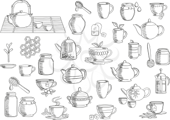 Tea and beverages hand drawn icons set with cups and mugs with fresh tea leaves, sugar cubes and tea bags, oriental tea sets, retro ceramic teapots and modern glass pots with plunger and infuser, jars