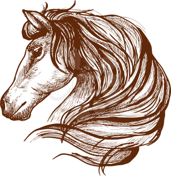Graceful horse engraving sketch icon with profile of purebred stallion head with flowing mane. Use as equestrian sport symbol or horse club mascot design