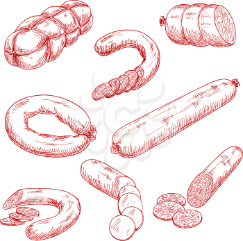 Smoked meat sausages red sketch drawings with frankfurters, salami, blood sausage, spicy pepperoni, mortadella with cubes of fat and bologna rings. Use as butcher shop, restaurant menu or recipe book 