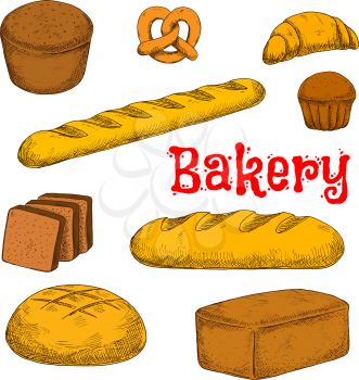 Flavorful rye, whole grain and wheat bread loaves, crispy french baguette and croissant, chocolate cupcake, toasts and sweet soft pretzel sketch icon. Colorful bakery and pastry products for healthy f
